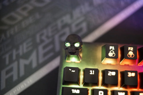 Benkyo Studio //  Skull Keycap
