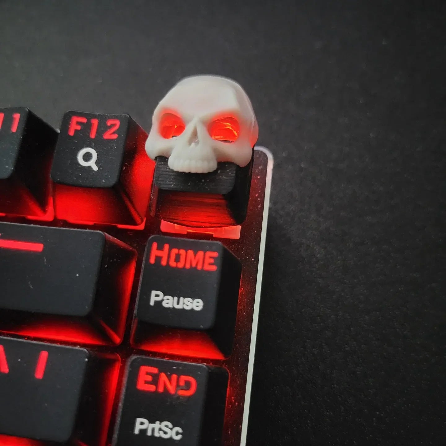 Benkyo Studio //  Skull Keycap